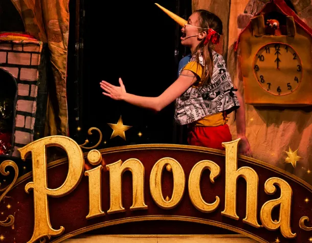 Póster de Pinocha