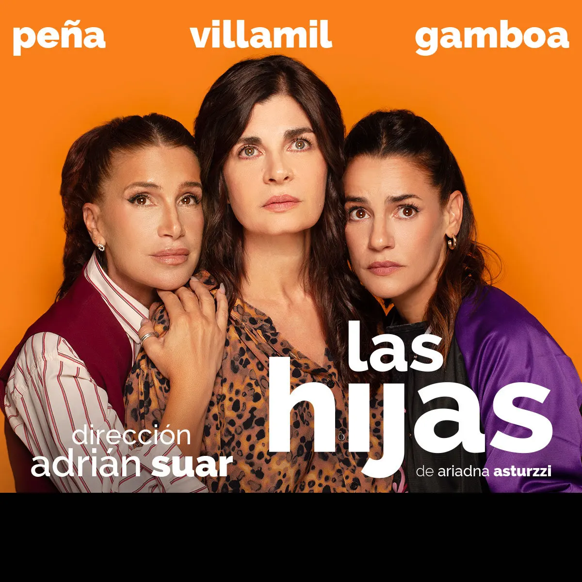 Póster de Las hijas