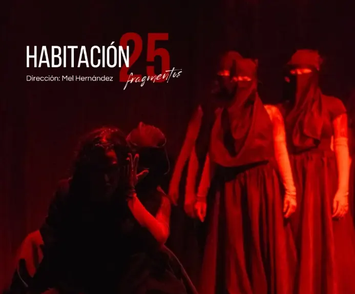 Póster de Habitación 25